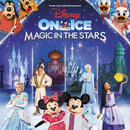 ディズニーオンアイスのチケットを見ていきます