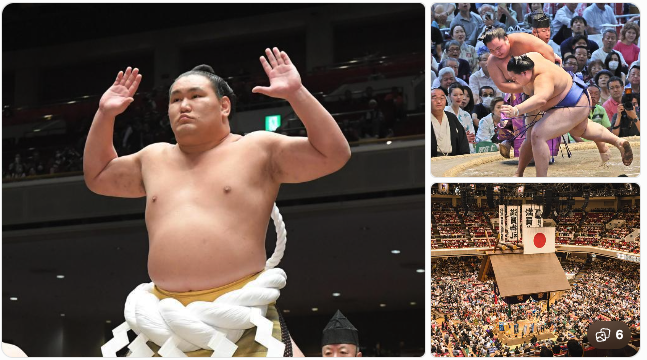 大相撲を深堀り!