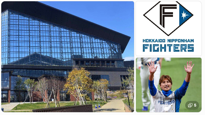 北海道日本ハムファイターズ（日ハム）を深堀り！